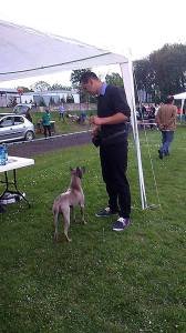 13271413_1084655121599434_577455364_o