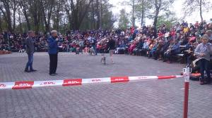 13091555_1069500739781539_2093223132_o