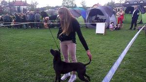 13271978_1084655024932777_1129737604_o