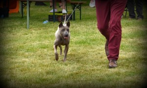 Mashima My Main Stream