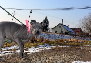 Doreah Ancient Kynopolis