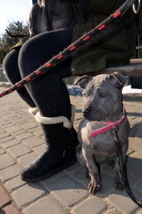 Doreah Ancient Kynopolis