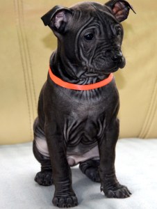 Arita - black female