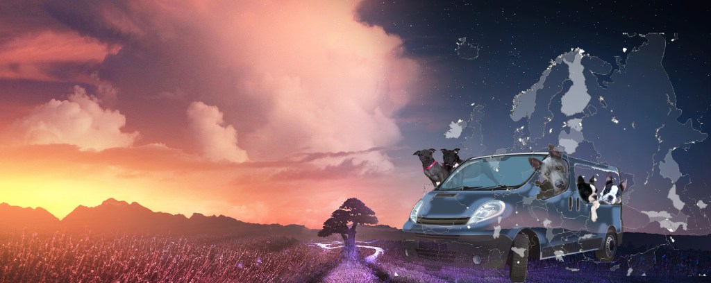 usługi transportowe na terenie Europy