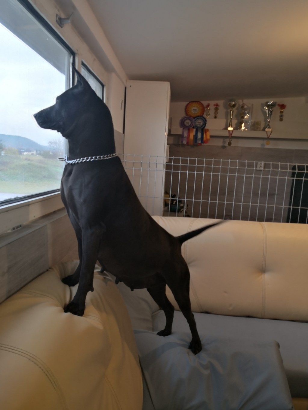 Sasu dzień 57&nbsp;🥰