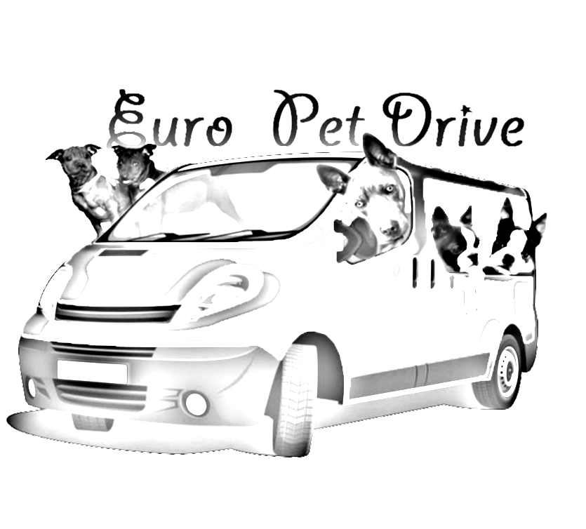 Obrazek posiada pusty atrybut alt; plik o nazwie logo-europetdrive.png