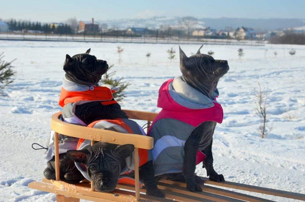 Miot S kończy dziś 3&nbsp;lata!