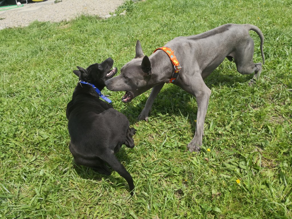 Lato 2019 dzień z naszego życia&nbsp;💙🖤💙