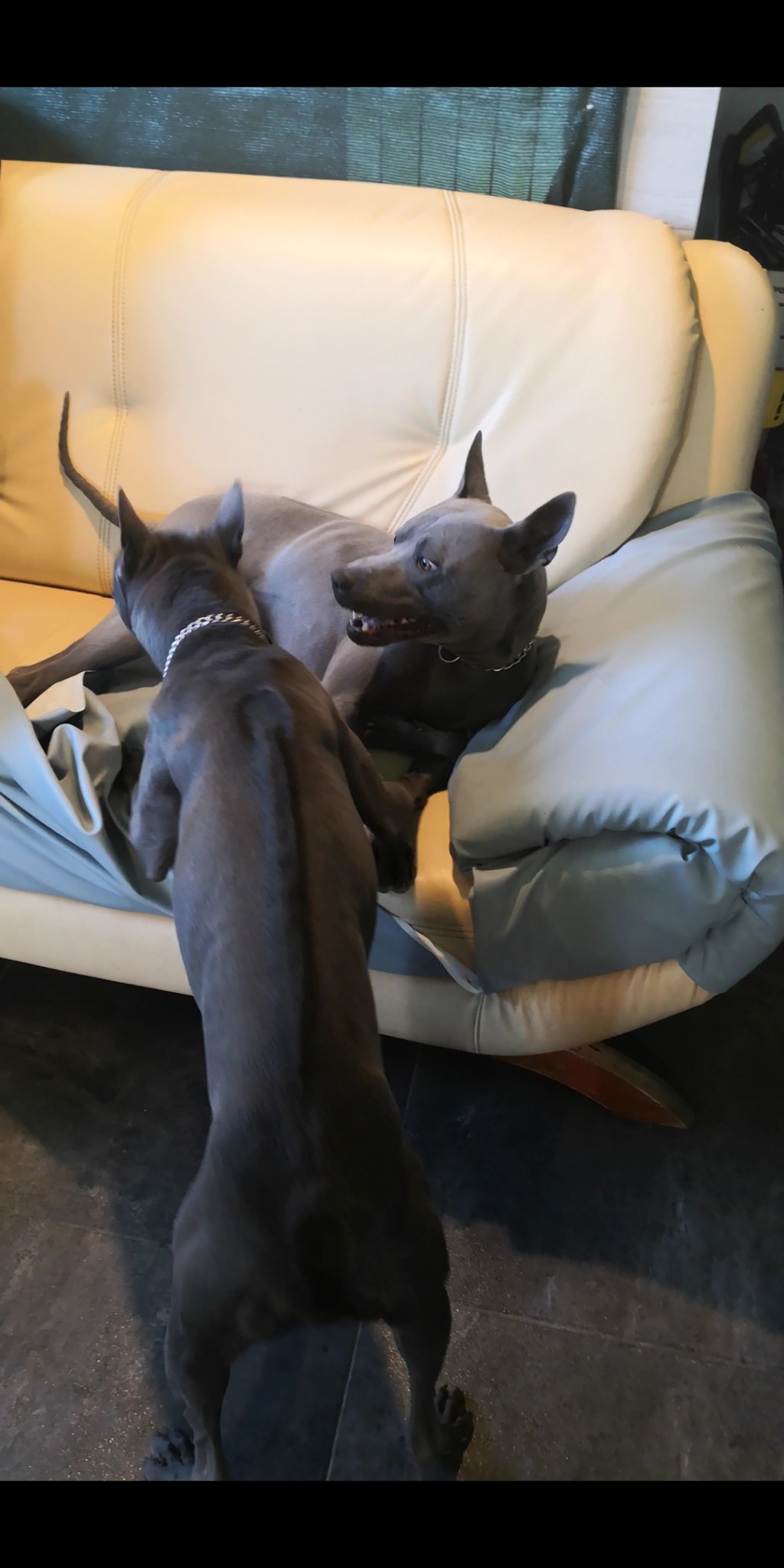 To się nazywa zabawa po tajsku&nbsp;😉