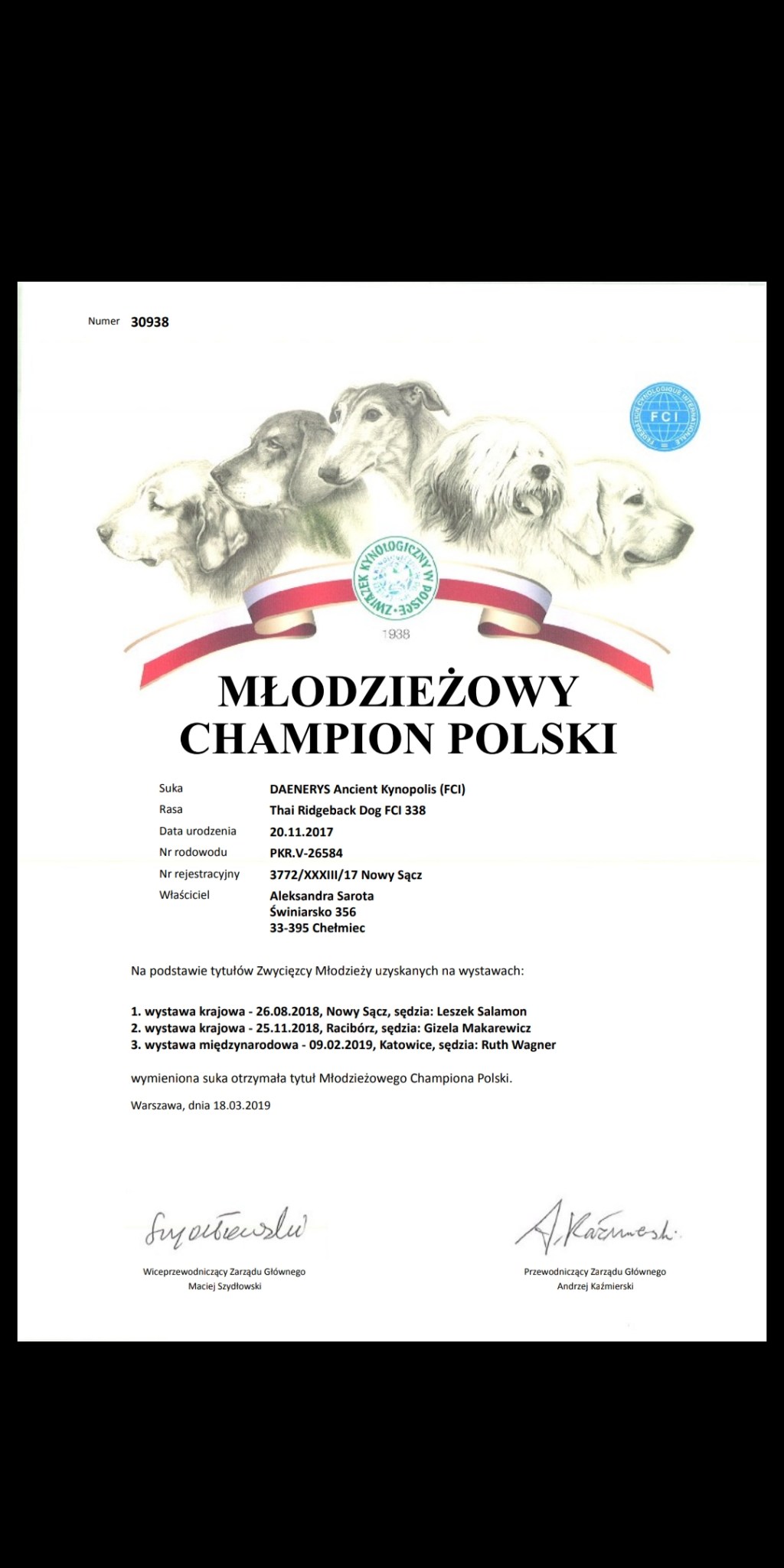 Next J.CH.PL in our kennel! | kolejny J.CH.PL w naszej&nbsp;hodowli!