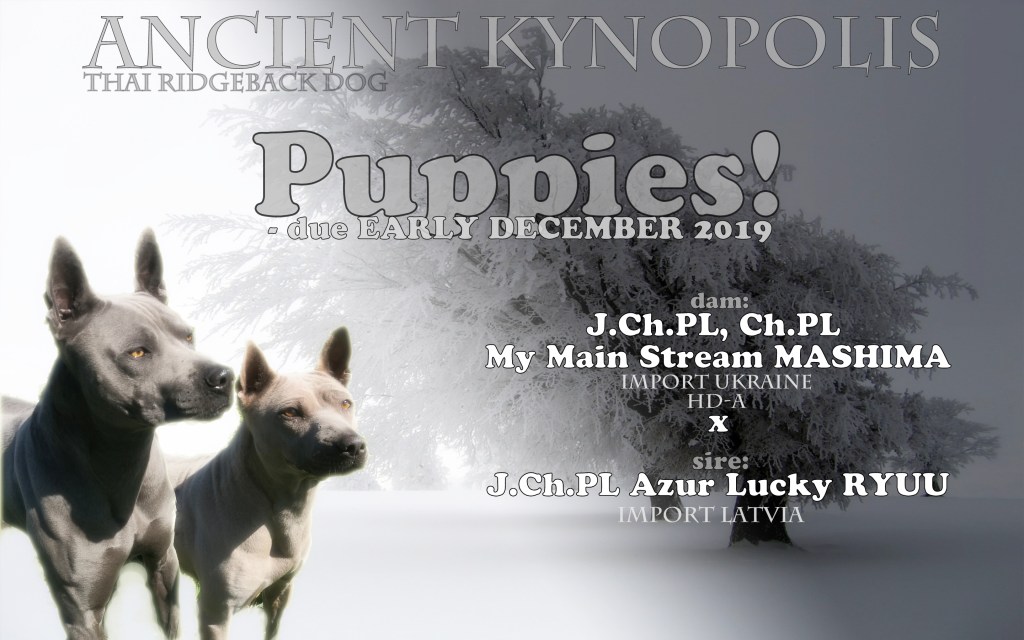 Kolejna ciąża potwierdzona!