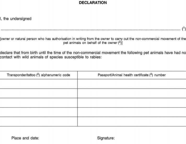 wzór deklaracji w języku angielskim